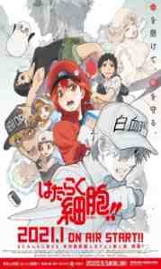 Assistir Hataraku Saibou!! 2 Online em HD