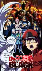 Assistir Hataraku Saibou Black Online em HD