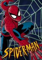 Assistir Homem-Aranha: A Série Animada Dublado Online em HD